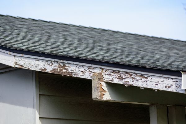 Fresno Wood Rot Repair