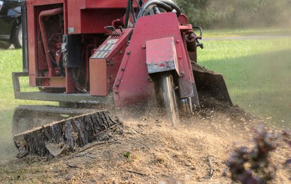 Fresno Tree Removal