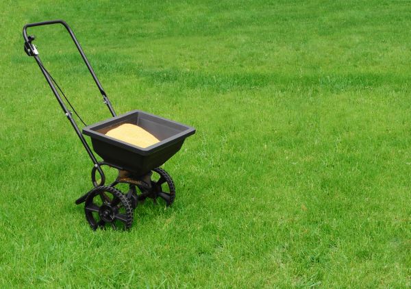 Fresno Lawn Treatment