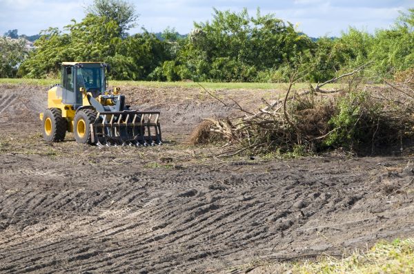 Fresno Land Clearing